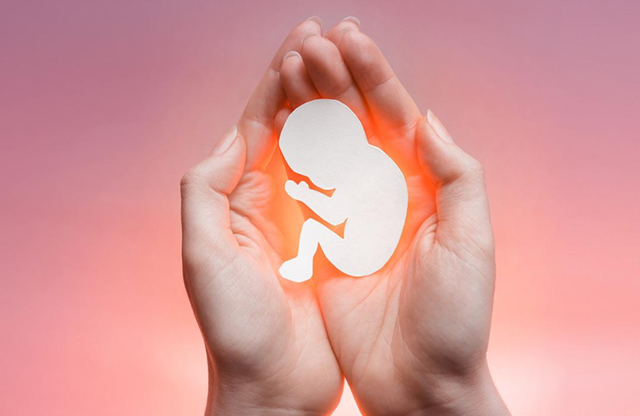 Giấc mơ cho thấy sự quan tâm và tình mẫu tử thiêng liêng Giấc mơ cho thấy sự quan tâm và tình mẫu tử thiêng liêng