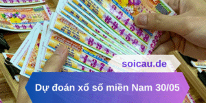 Dự đoán xổ số miền Nam 30/05