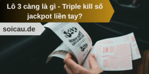 Lô 3 càng là gì