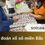 Dự đoán xổ số miền Bắc 31/05