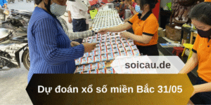 Dự đoán xổ số miền Bắc 31/05