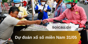 Dự đoán xổ số miền Nam 31/05