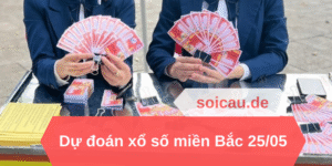 Dự đoán xổ số miền Bắc 25/05