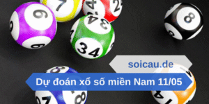 Dự đoán xổ số miền Nam 11_05
