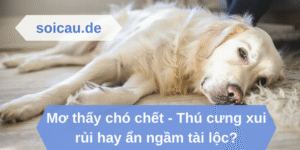 Mơ thấy chó chết - Thú cưng xui rủi hay ẩn ngầm tài lộc