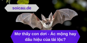 Mơ thấy con dơi - Ác mộng hay dấu hiệu của tài lộc