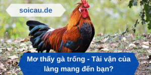 Mơ thấy gà trống - Tài vận của làng mang đến bạn