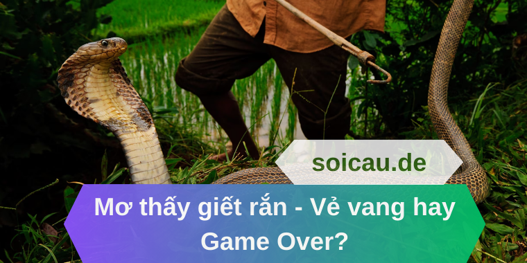 Mơ thấy giết rắn - Vẻ vang hay Game Over?