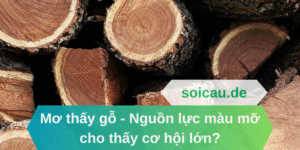 Mơ thấy gỗ
