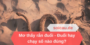 Mơ thấy rắn đuổi