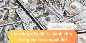 Mơ thấy tiền đô la - Xanh chín trong mơ ra cả ngoài đời