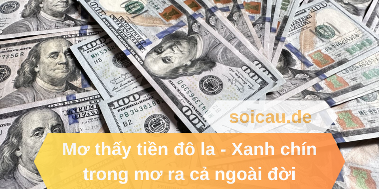 Mơ thấy tiền đô la - Xanh chín trong mơ ra cả ngoài đời