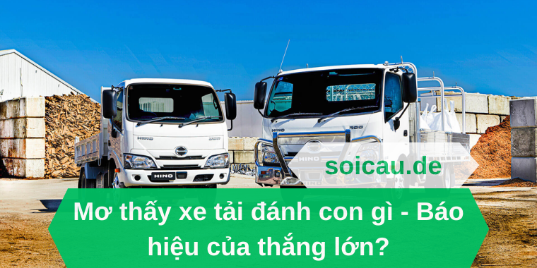 Mơ thấy xe tải đánh con gì