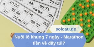 Nuôi lô khung 7 ngày