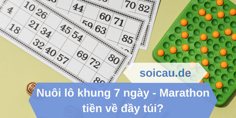 Nuôi lô khung 7 ngày