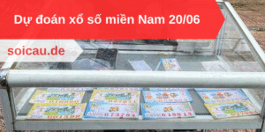 Dự đoán xổ số miền Nam 20/06