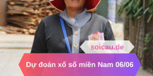 Dự đoán xổ số miền Nam 06/06