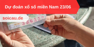 Dự đoán xổ số miền Nam 23/06