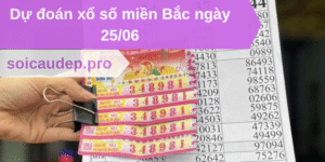 Dự đoán xổ số miền Bắc 25/06