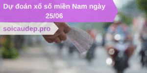 Dự đoán xổ số miền Nam 25/06