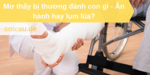 Mơ thấy bị thương đánh con gì