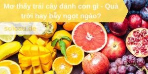 Mơ thấy trái cây đánh con gì