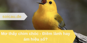Mơ thấy chim chóc