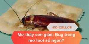 Mơ thấy con gián