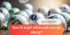 Bao lô là gì