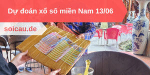 Dự đoán xổ số miền Nam 13/06