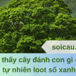 Mơ thấy cây đánh con gì