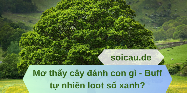 Mơ thấy cây đánh con gì