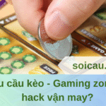 Khu cầu kèo