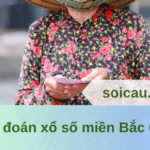 Dự đoán xổ số miền Bắc 01/06