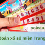 Dự đoán xổ số miền Trung 01/06