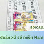 Dự đoán xổ số miền Nam 01/06