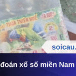 Dự đoán xổ số miền Nam 02/06