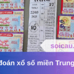 Dự đoán xổ số miền Trung 03/06