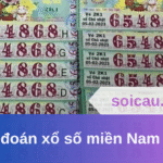 Dự đoán xổ số miền Nam 03/06