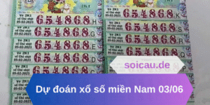 Dự đoán xổ số miền Nam 03/06