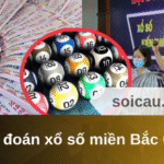 Dự đoán xổ số miền Bắc 05/06