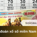 Dự đoán xổ số miền Nam 05/06