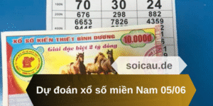 Dự đoán xổ số miền Nam 05/06