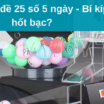 Nuôi dàn đề 25 số 5 ngày