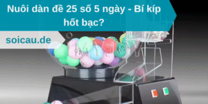 Nuôi dàn đề 25 số 5 ngày