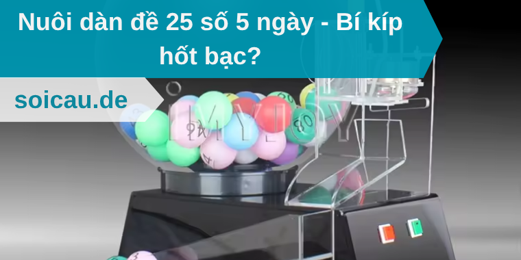 Nuôi dàn đề 25 số 5 ngày