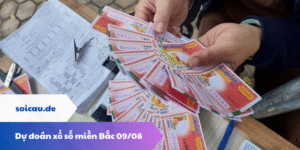 Dự đoán xổ số miền Bắc 09/08