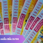 Dự đoán xổ số miền Bắc 11/08