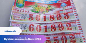Dự đoán xổ số miền Nam 11/08